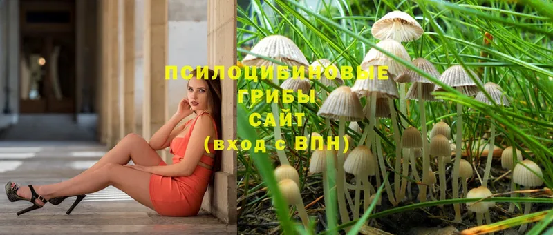 Галлюциногенные грибы Magic Shrooms  Алагир 